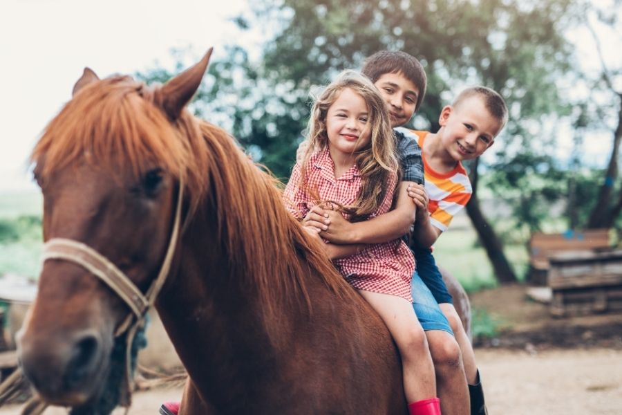 ילדים סוסים תוכן