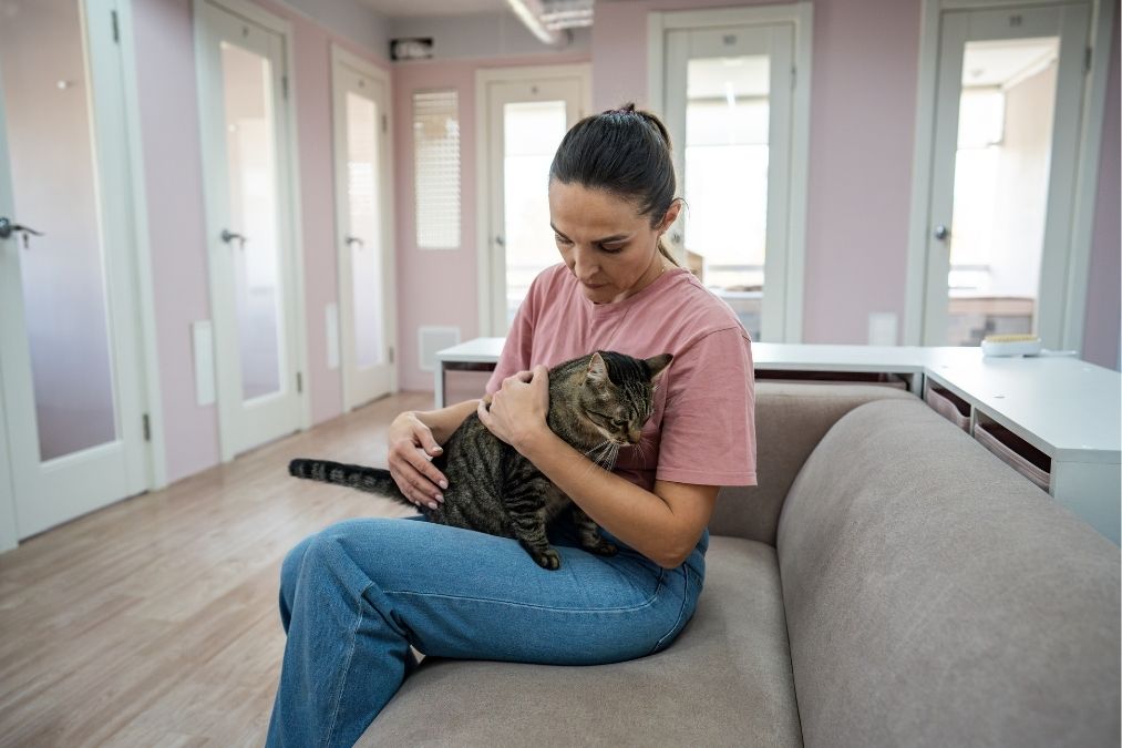 רווקות מאוחרת חיית מחמד